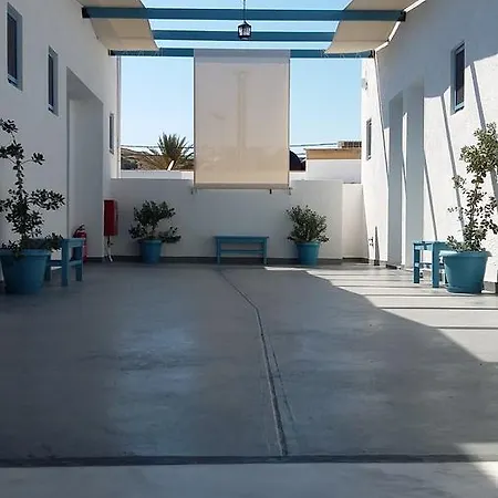 Delfini