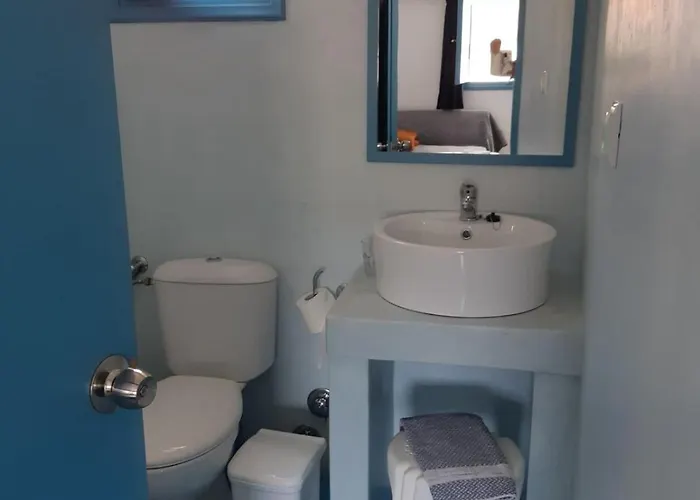 Delfini 2* سكالا